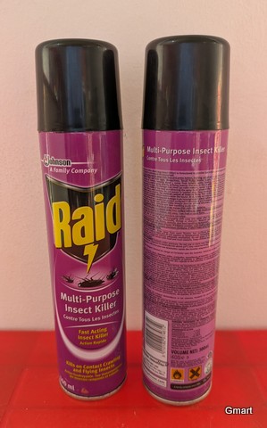 Raid Multi-Purpose Insect Killer (300ml)
